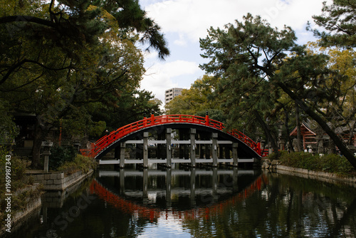 bridge in the park