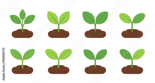 plant, plants, leaf, leaves, green, nature, eco, ecology, environment, botanical, garden, gardening, herb, herbs, tree, trees, foliage, floral, flora, natural, organic, growth, growing, fresh, spring,