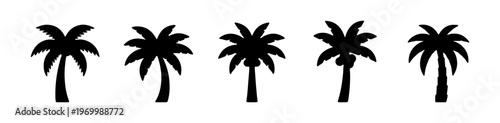 Black palm trees set, palm or coconut trees, palm tree silhouette, vector illustration
