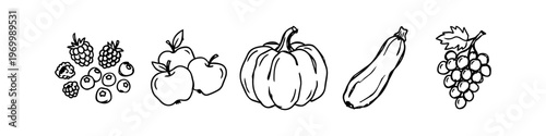 Hand-drawn line art sketches of harvest fruits and vegetables: berries, apples, pumpkin, zucchini, and grapes. Minimalist black and white vector icons for seasonal and healthy food designs.