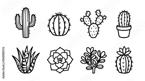 Cacti and succulents icon set: minimalist black hand drawn line art, isolated on white.