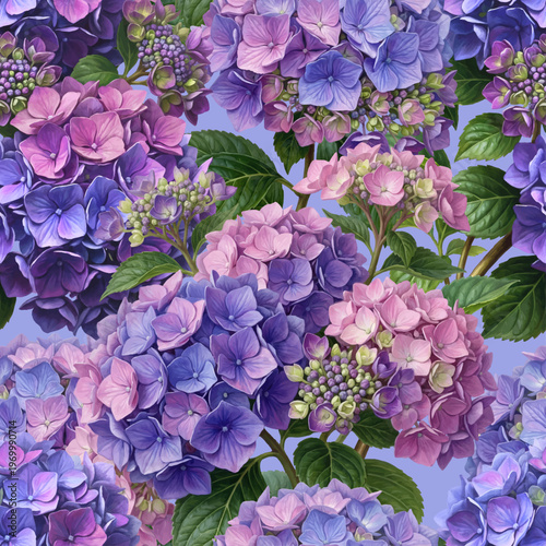 Seamless vector pattern with purple-pink hydrangea flowers isolated on a changeable background. Vintage painting style illustration.