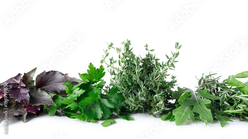 Different fresh herbs isola...