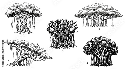A detailed black and white illustration showcasing five distinct styles of banyan trees, each numbered for identification.