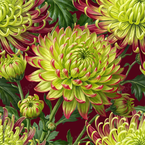 Seamless vector pattern with green-red chrysanthemum flowers isolated on a changeable background. Vintage painting style illustration.