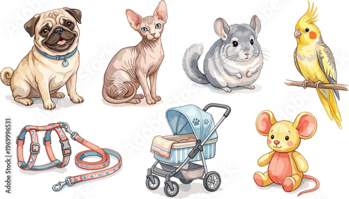 Collection of cute pets and pet accessories including a pug, sphinx cat, chinchilla, parrot, leash, stroller, and plush toy
