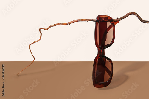 Branch with stylish sunglas...