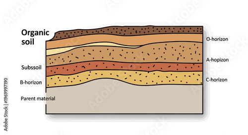 Soil layers diagram with organic topsoil.