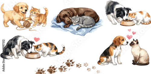 Adorable puppies and kittens sharing moments of companionship and playing together