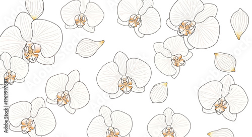 White orchid flowers with yellow centers.