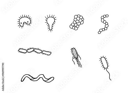Hand-drawn bacteria set. Black doodle style hand drawn object. Simple isolated outline.