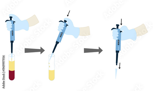 Infographic Diagram Showing Step-by-Step Guide on How to Use a Micropipette in Laboratory