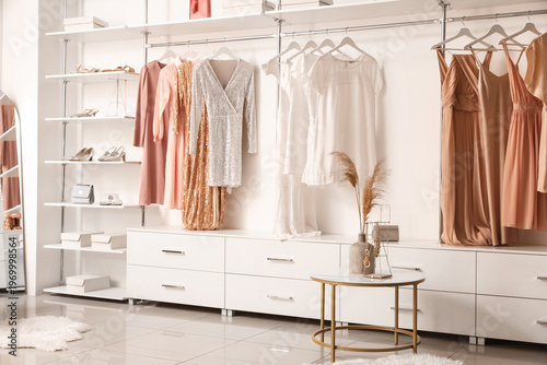 Stylish female clothes and ...