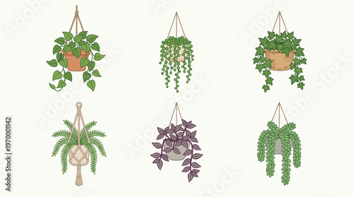 Charming collection of six diverse hanging potted plants in various styles, featuring lush green and purple foliage, perfect for indoor decor and botanical designs