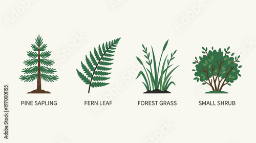 A collection of simplified illustrations of various plant types including a pine sapling, fern leaf, forest grass, and a small shrub
