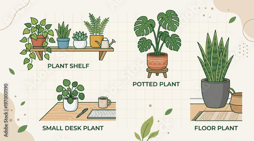 Collection of various house plants on shelves, desks, and floors, showcasing indoor gardening and home decor