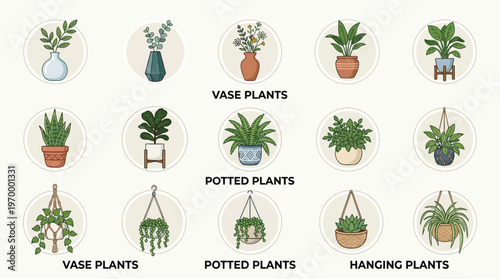 Collection of assorted potted, vase, and hanging houseplants presented in a clean, simple illustrative style
