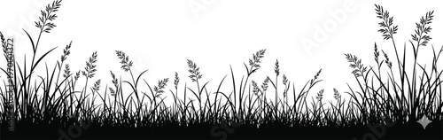 Black grass silhouette meadow border with wild field plants and weeds isolated on white background for landscape design.