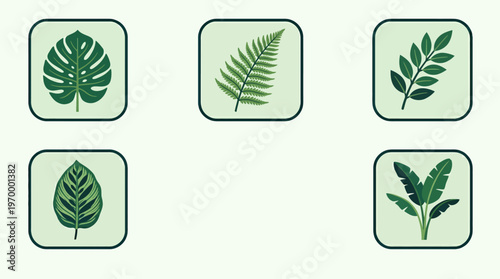 Collection of Tropical and Exotic Green Leaf Illustrations