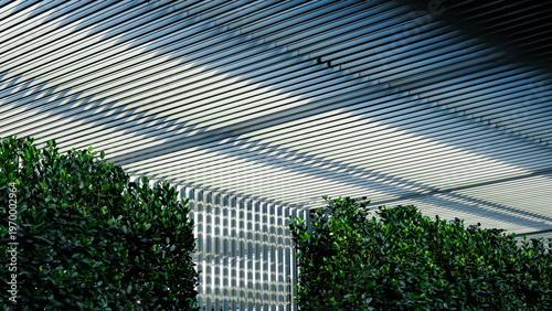Photography Modern building facade with aluminium frame solar shading and full height green leaves wall under bright blue sky
