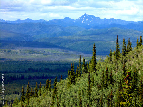 The forest and the mountains in summer, Yukon Territory, Canada