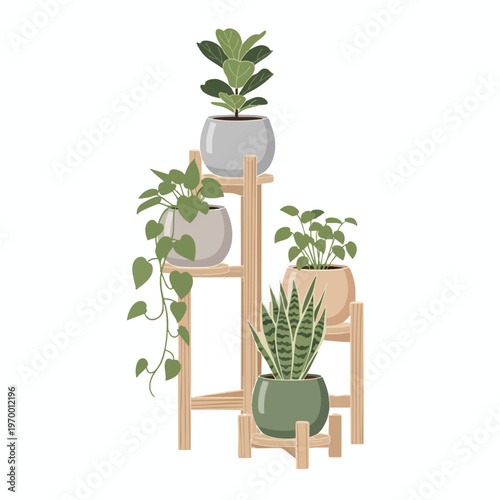 Four potted houseplants on a wooden plant stand