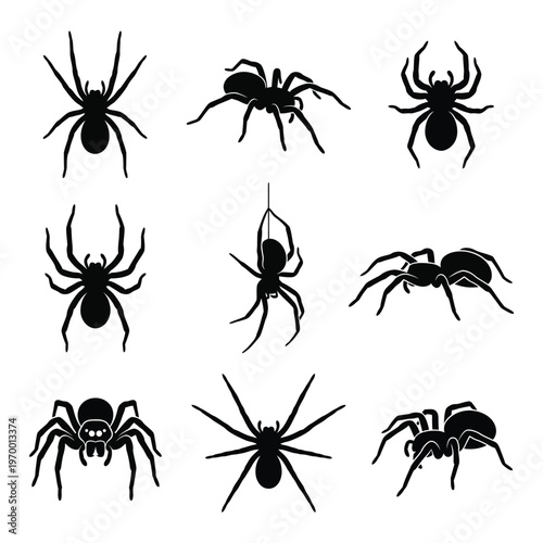 Spider Silhouette Vector Collection - Nine Creepy Arachnid Icons Including Tarantulas, Black Widows, and Spiders on Webs