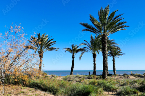 Costa Blanca - Strand in Denia - Spanien