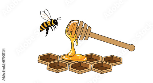 A cartoon bee flies towards a honey dipper dripping golden honey into hexagonal honeycomb cells on a white background.