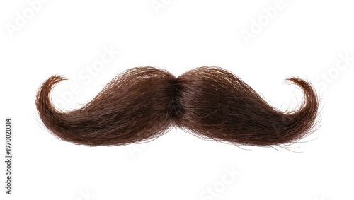 Curly dark brown handlebar mustache, styled with upward sweeping ends