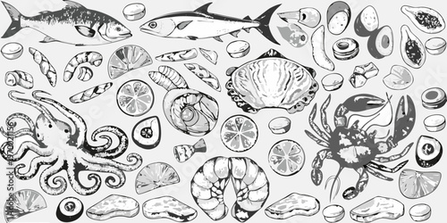 Seafood illustration featuring fish shellfish and various ocean elements