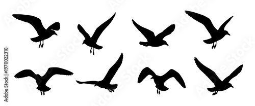 Seagull silhouettes, flying birds vector set, black silhouette seagulls, vector illustration