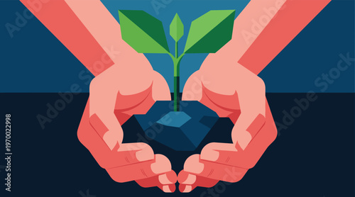 Hands holding young plant seedling over dark background