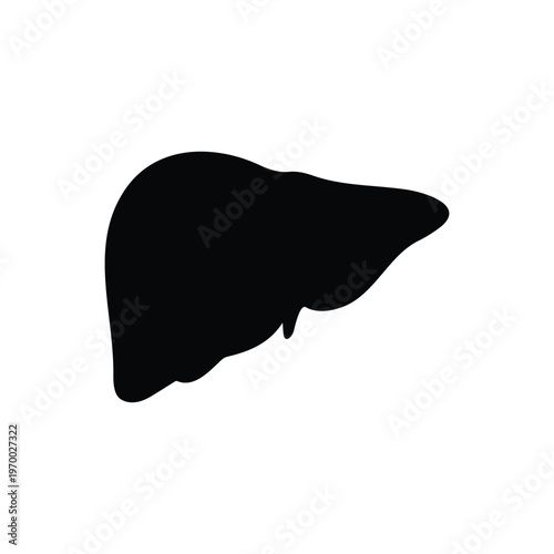 liver silhouette vector flat design on white background.
