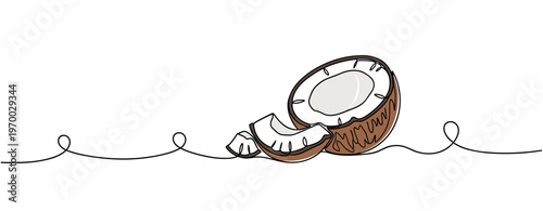 Coconut halves resting on continuous line white background