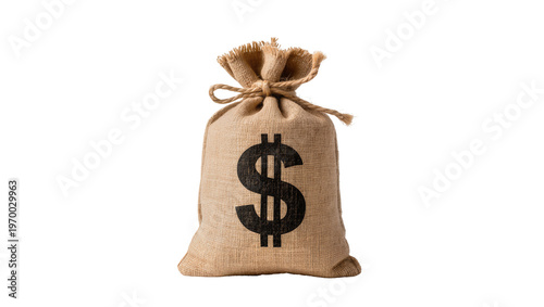 Fotografie Burlap moneybag displaying large black dollar sign, tied with twine