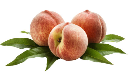 Wandcirkels Pantone 2024 Peach Fuzz Rijpe perziken tussen groene bladeren  © Rowan