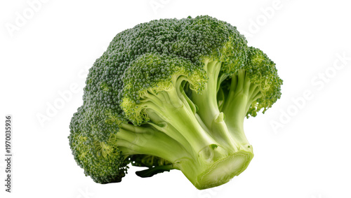 Tableau sur toile Vibrant green broccoli head, displaying dense florets and a crisp stem