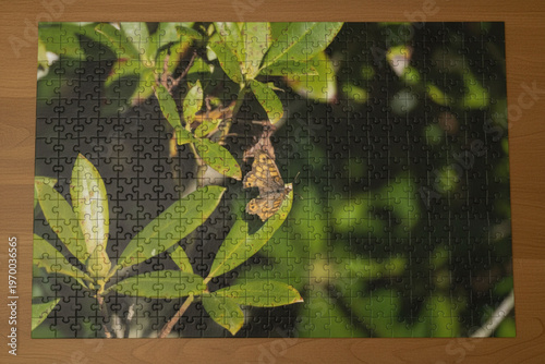 Puzzle avec papillon à aile cassée sur planche en bois – macro au soleil