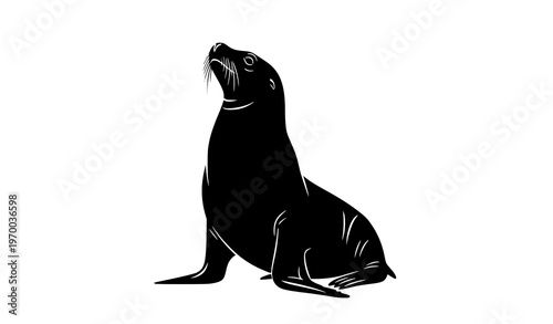 Sea lion silhouette sitting upright isolated on white background marine animal vector illustration