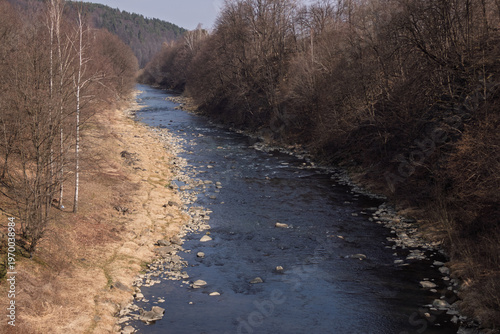 Prut river in Carpathian mountains near Yaremche, Ukraine, early spring landscape
