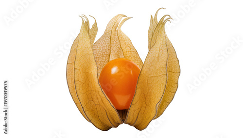 Foto Golden cape gooseberry fruit, nestled within delicate papery husk