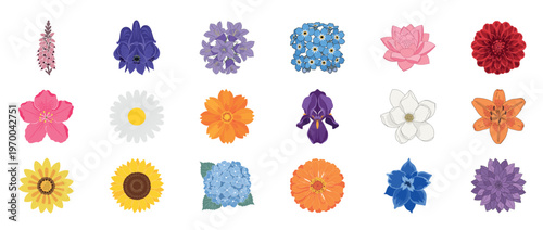 Colorful floral flowers icon set featuring dahlia orchid lotus poppy and botanical blossoms decorative outline line editable stroke spring garden