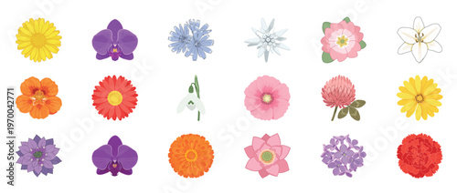 Colorful floral flowers icon set featuring dahlia orchid lotus poppy and botanical blossoms decorative outline line editable stroke spring garden