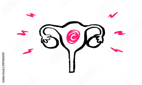 Female reproductive system