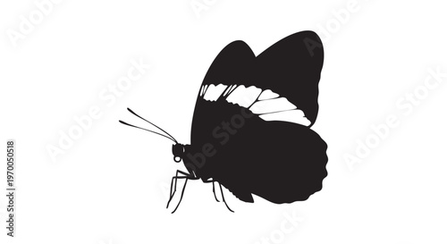 Beautiful black butterfly silhouette with white accents flying alone isolated on transparent background