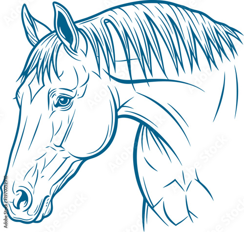 Detailed horse head profile showing mane and facial features