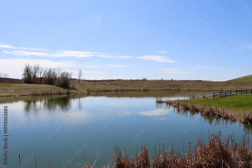 Fototapeta premium The calm pond in the country on a sunny day.