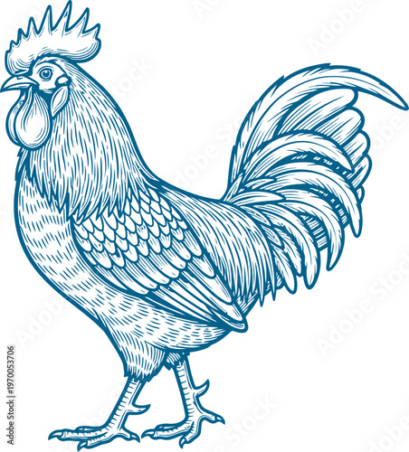 Proud rooster cockerel standing in profile with ornate plumage