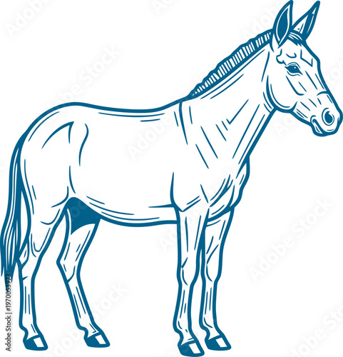Work horse mule standing still in profile line art illustration
